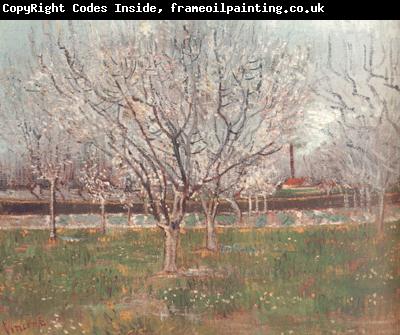 Vincent Van Gogh Orchard in Blossom (nn04)